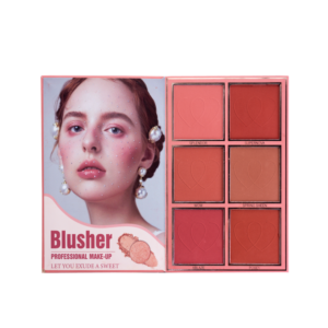 دفتر باليت كرستين 3 في 1 ظلال العيون + اضاءة + احمر خدود CH-K2309