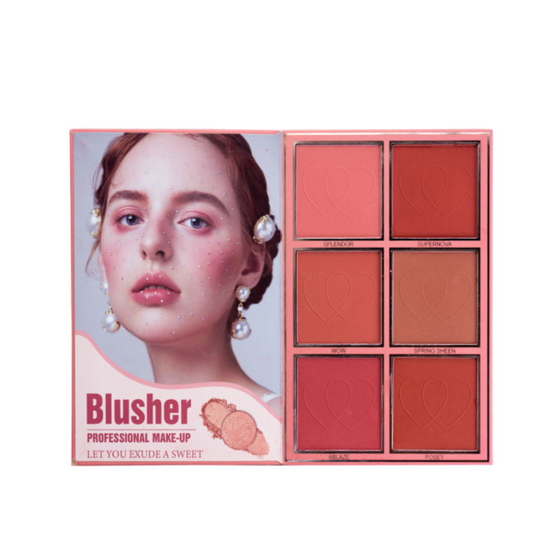 دفتر باليت كرستين 3 في 1 ظلال العيون + اضاءة + احمر خدود CH-K2309